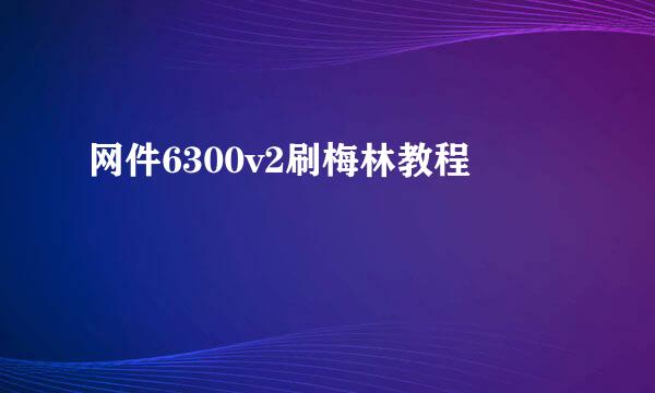 网件6300v2刷梅林教程