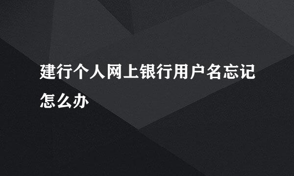 建行个人网上银行用户名忘记怎么办