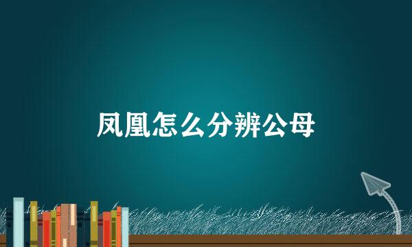 凤凰怎么分辨公母