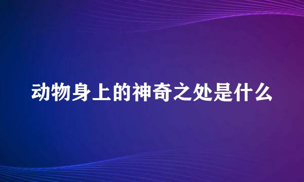 动物身上的神奇之处是什么