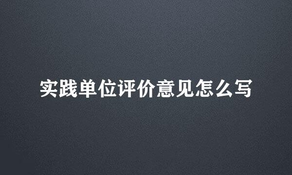 实践单位评价意见怎么写