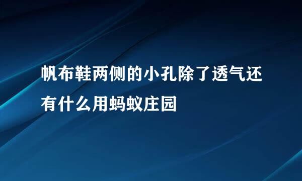 帆布鞋两侧的小孔除了透气还有什么用蚂蚁庄园