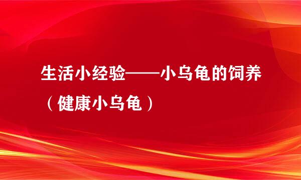 生活小经验——小乌龟的饲养(健康小乌龟)