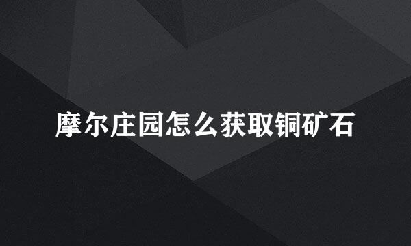 摩尔庄园怎么获取铜矿石