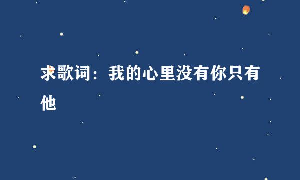 求歌词：我的心里没有你只有他
