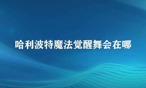 哈利波特魔法觉醒舞会在哪