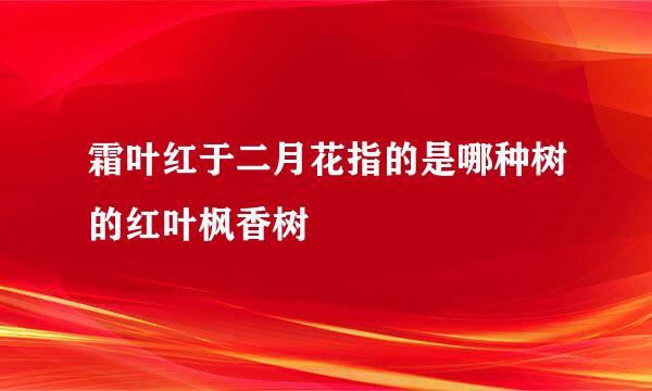 霜叶红于二月花指的是哪种树的红叶枫香树
