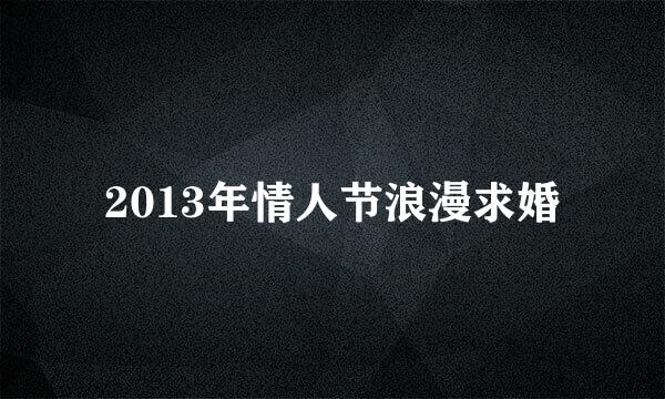 2013年情人节浪漫求婚