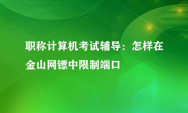 职称计算机考试辅导:怎样在金山网镖中限制端口