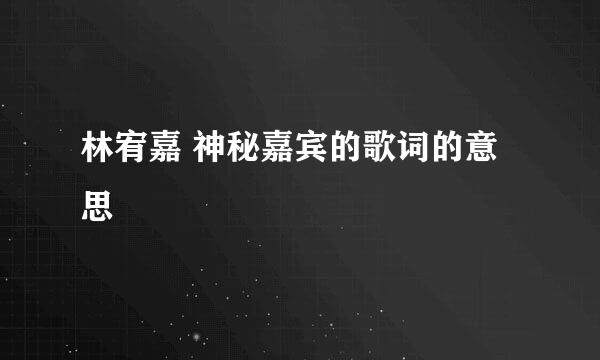 林宥嘉 神秘嘉宾的歌词的意思