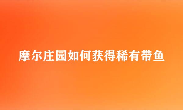 摩尔庄园如何获得稀有带鱼
