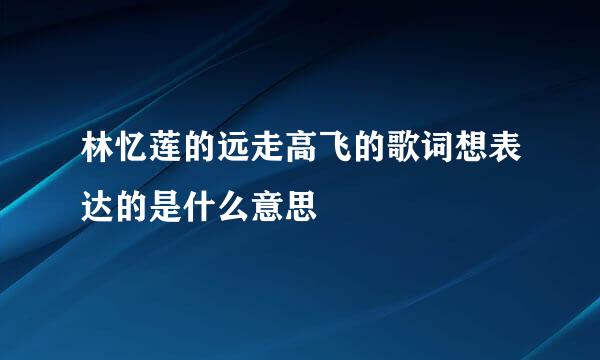 林忆莲的远走高飞的歌词想表达的是什么意思