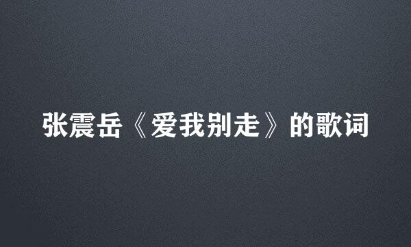 张震岳《爱我别走》的歌词