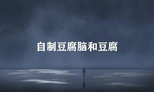 自制豆腐脑和豆腐