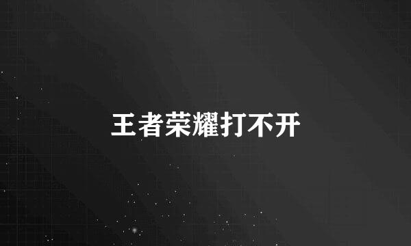 王者荣耀打不开