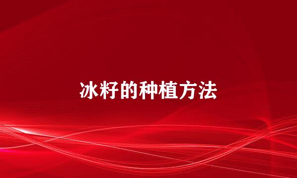 冰籽的种植方法