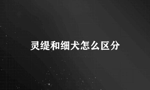 灵缇和细犬怎么区分