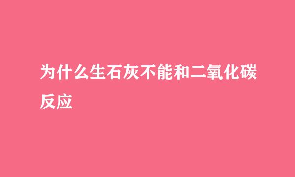 为什么生石灰不能和二氧化碳反应