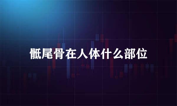 骶尾骨在人体什么部位