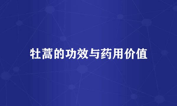 牡蒿的功效与药用价值