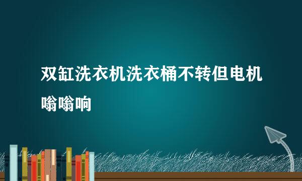 双缸洗衣机洗衣桶不转但电机嗡嗡响