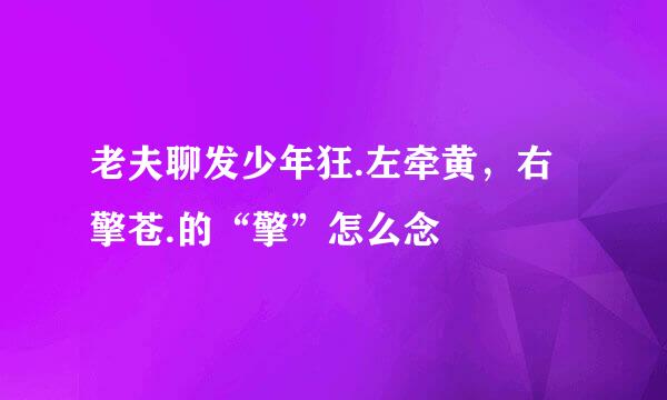 老夫聊发少年狂.左牵黄，右擎苍.的“擎”怎么念