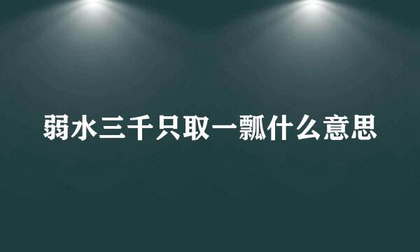 弱水三千只取一瓢什么意思