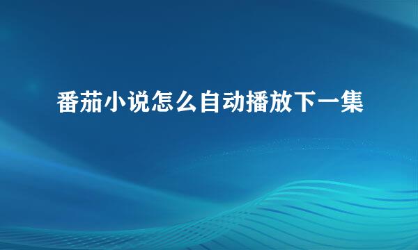 番茄小说怎么自动播放下一集