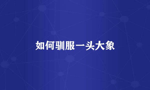如何驯服一头大象