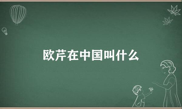 欧芹在中国叫什么