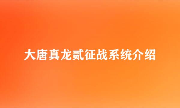 大唐真龙贰征战系统介绍