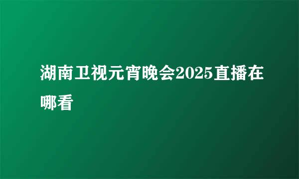 湖南卫视元宵晚会2025直播在哪看