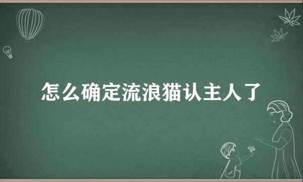 怎么确定流浪猫认主人了