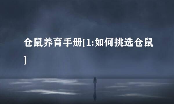 仓鼠养育手册[1:如何挑选仓鼠]