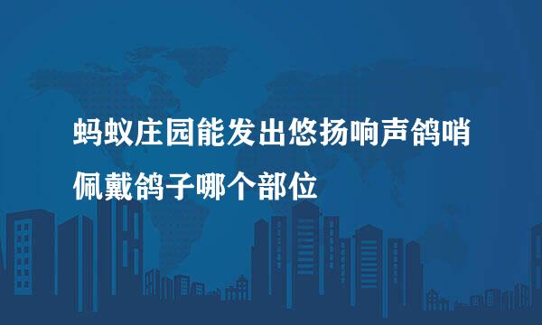 蚂蚁庄园能发出悠扬响声鸽哨佩戴鸽子哪个部位