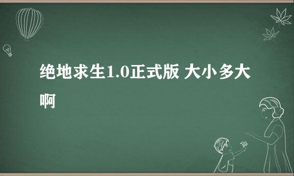 绝地求生1.0正式版 大小多大啊