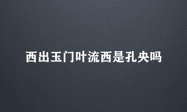 西出玉门叶流西是孔央吗