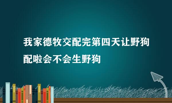 我家德牧交配完第四天让野狗配啦会不会生野狗