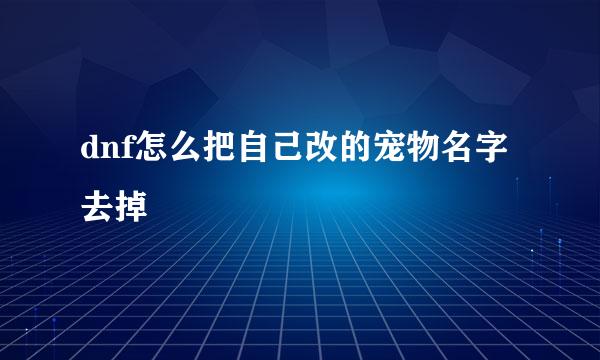 dnf怎么把自己改的宠物名字去掉