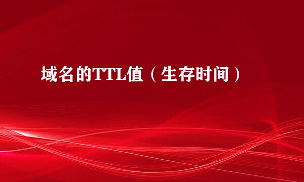 域名的TTL值（生存时间）