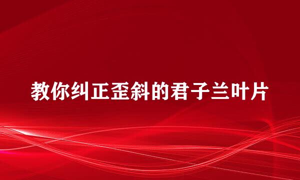 教你纠正歪斜的君子兰叶片