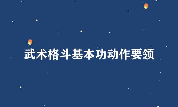 武术格斗基本功动作要领