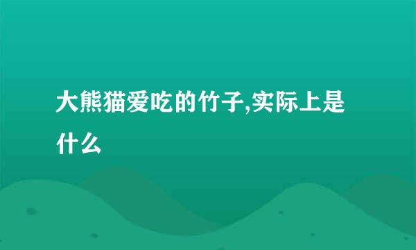 大熊猫爱吃的竹子,实际上是什么