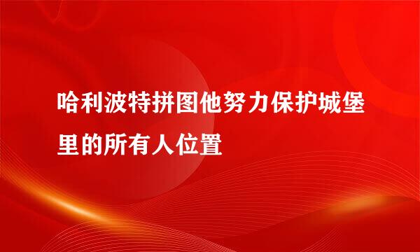 哈利波特拼图他努力保护城堡里的所有人位置