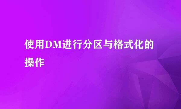 使用DM进行分区与格式化的操作