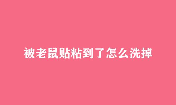 被老鼠贴粘到了怎么洗掉
