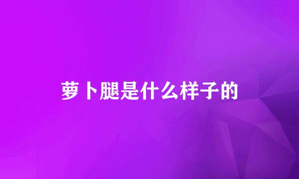 萝卜腿是什么样子的