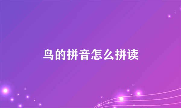 鸟的拼音怎么拼读