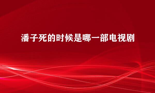 潘子死的时候是哪一部电视剧