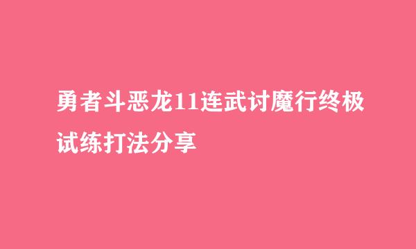 勇者斗恶龙11连武讨魔行终极试练打法分享